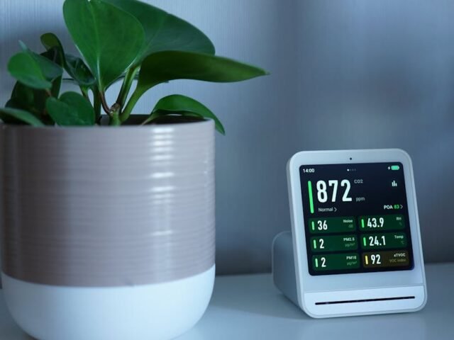 J&rsquo;ai laissé un jardin intelligent s&rsquo;autogérer pendant 2 mois : découvrez ce qu&rsquo;il s&rsquo;est passé