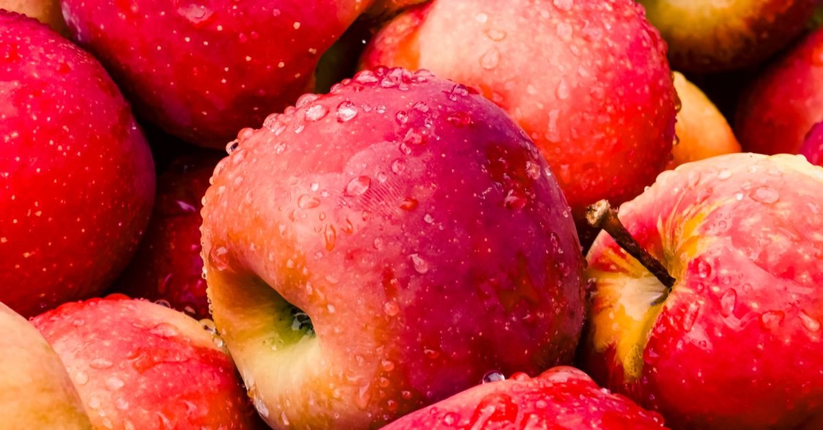 découvrez tout sur apple : ses produits innovants, ses dernières nouveautés et actualités.