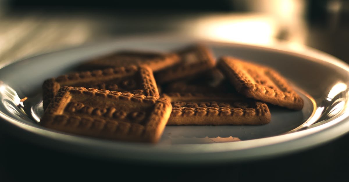découvrez comment protéger vos cookies pour garantir la confidentialité de vos données en ligne et respecter les réglementations en matiÚre de vie privée.