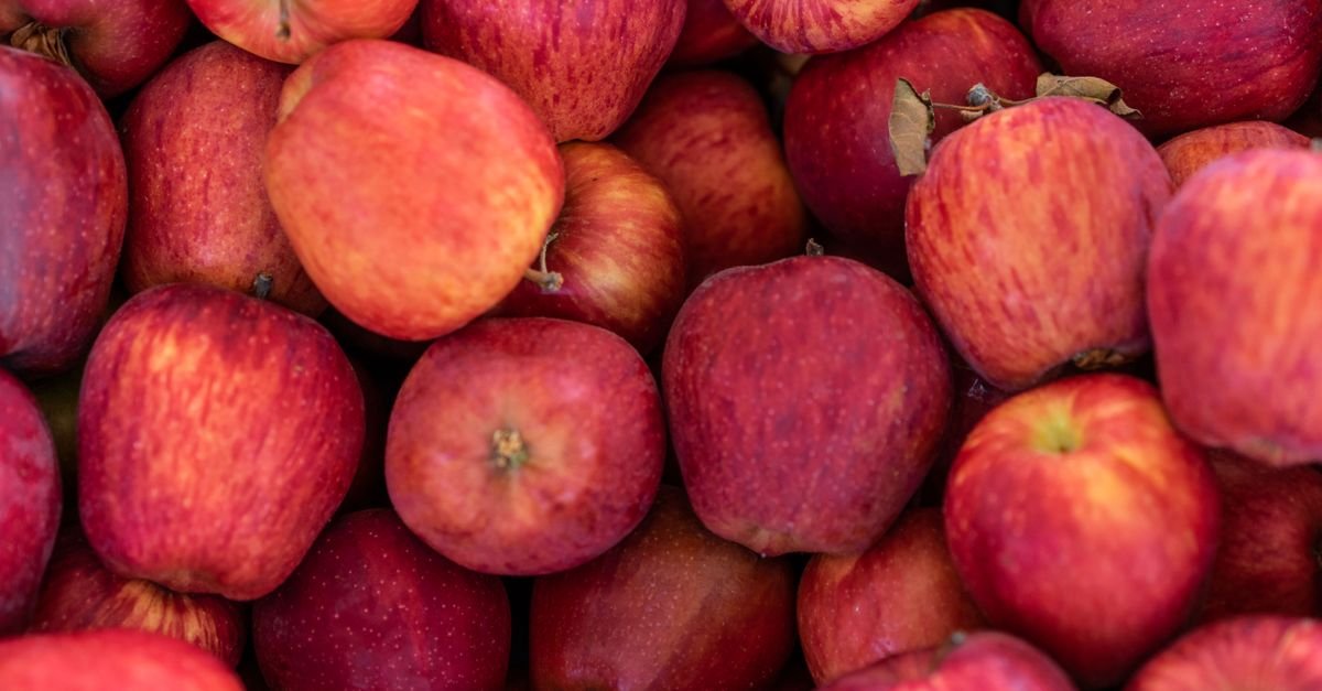 réponse officielle d'apple aux récentes questions et préoccupations des utilisateurs.